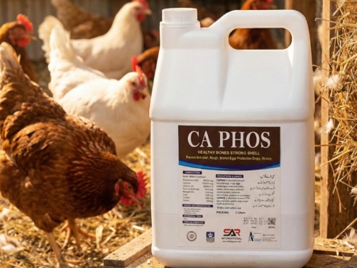 CA Phos